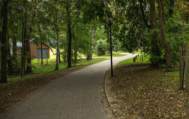 Ścieżka pieszo-rowerowa przy jeziorze Raczyńskim